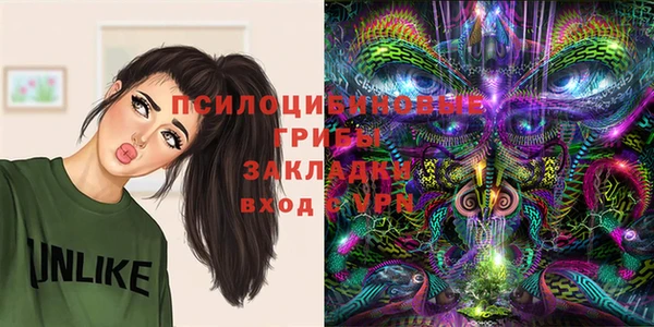 дмт Козловка