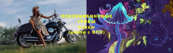 дмт Козловка