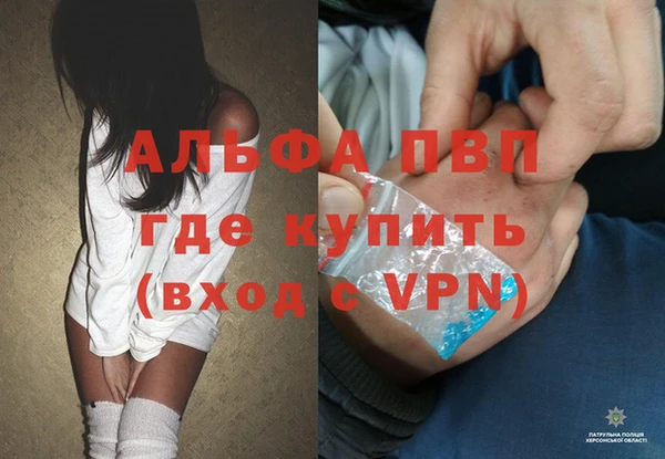 дмт Козловка