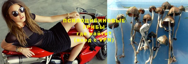 тгк Козельск