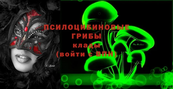 тгк Козельск