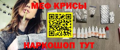 стаф Аргун