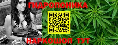стаф Аргун