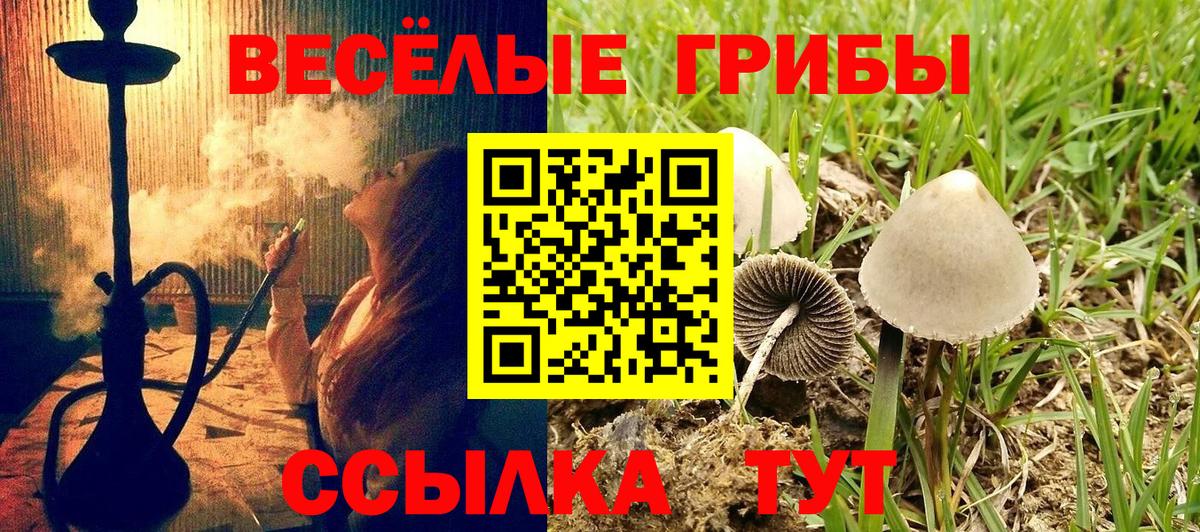 Галлюциногенные грибы Cubensis Балаково
