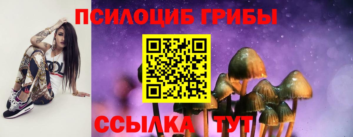 Галлюциногенные грибы Cubensis Балаково