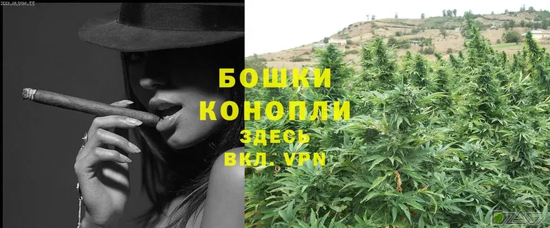 Конопля OG Kush  Балаково 